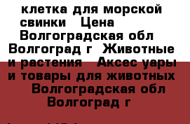 клетка для морской свинки › Цена ­ 1 200 - Волгоградская обл., Волгоград г. Животные и растения » Аксесcуары и товары для животных   . Волгоградская обл.,Волгоград г.